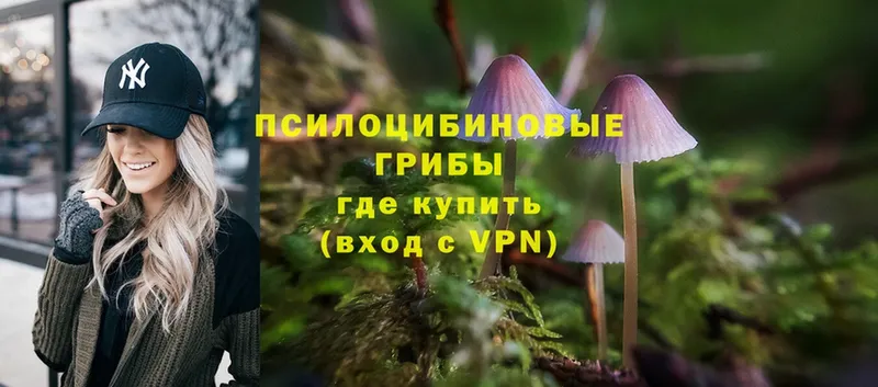 Галлюциногенные грибы Magic Shrooms  Вязники 